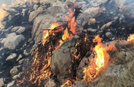 آتش سوزی در کوه رحمت مشرف به مجموعه جهانی تخت جمشید